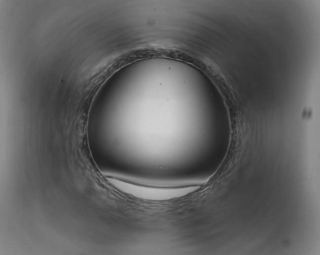 X0000111651110200907171538