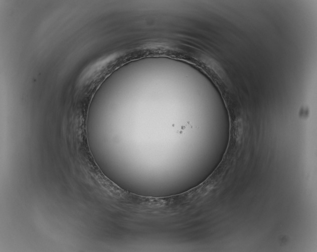 X0000111651111200907171538
