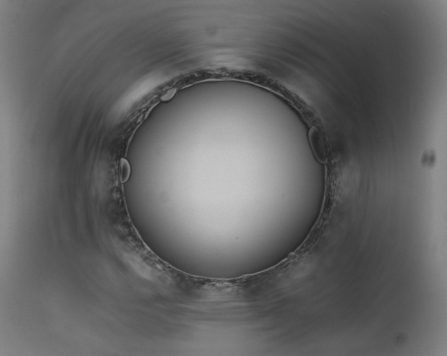 X0000111651112200907171538