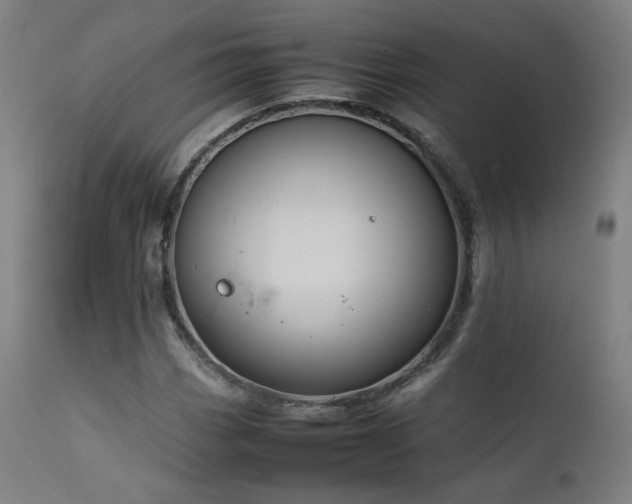 X0000111651113200907171538
