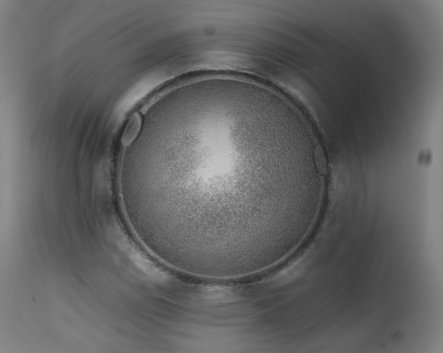 X0000111651114200907171538