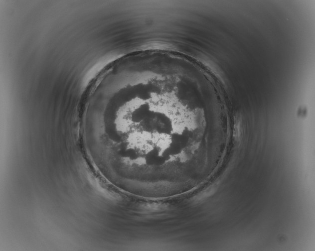 X0000111651117200907171538