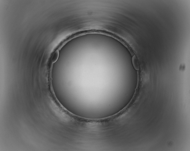 X0000111651118200907171538