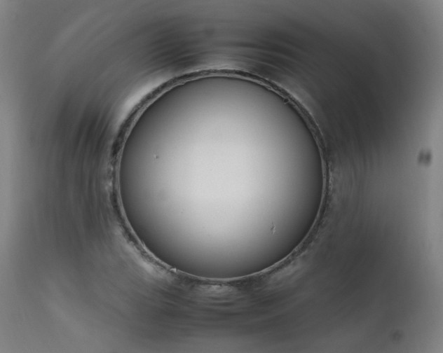 X0000111651119200907171538