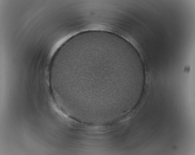 X0000111651120200907171538