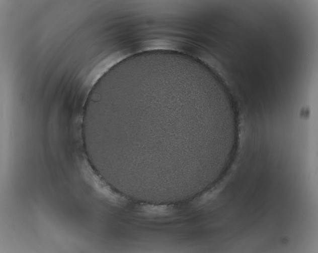 X0000111651121200907171538