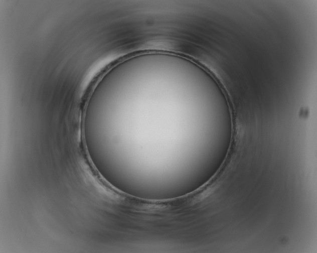 X0000111651123200907171538