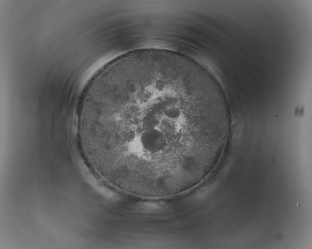 X0000111651125200907171538