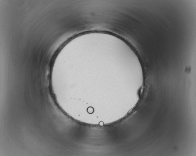X0000111651126200907171538