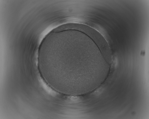 X0000111651128200907171538
