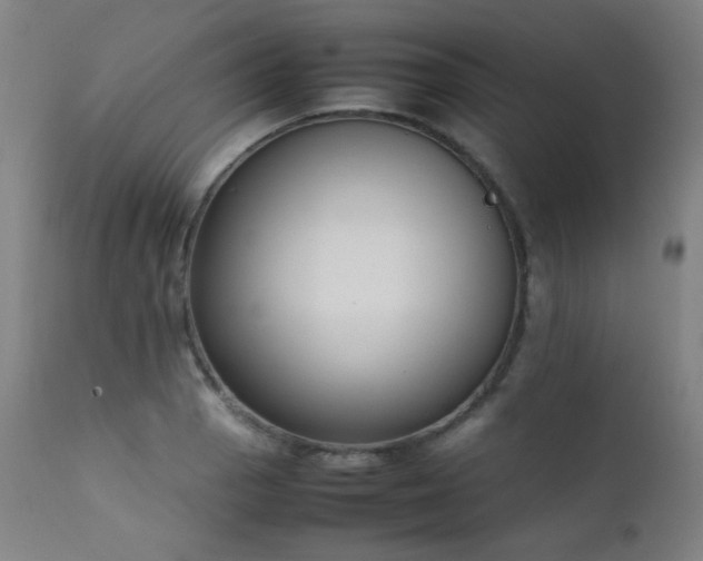 X0000111651129200907171538