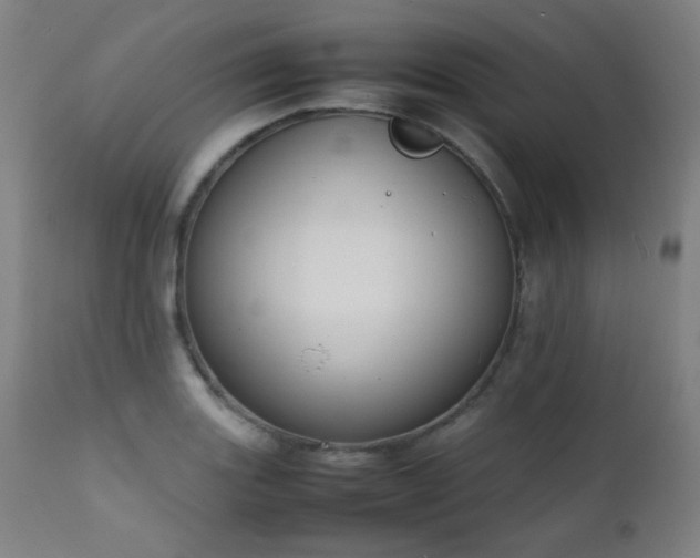 X0000111651131200907171538