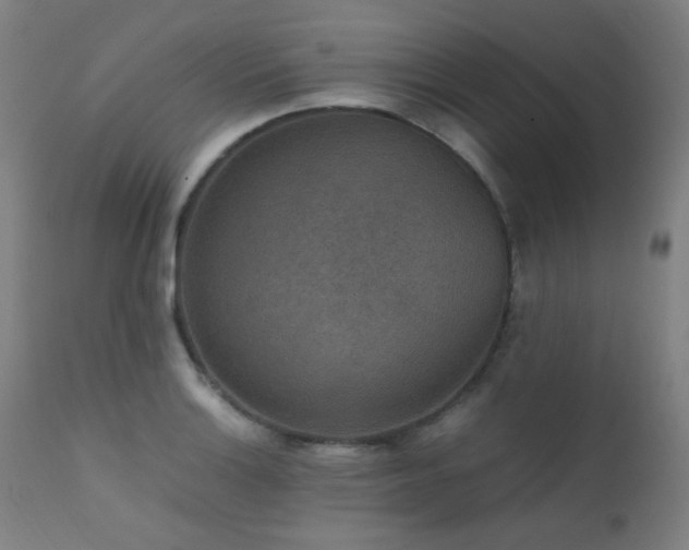 X0000111651132200907171538