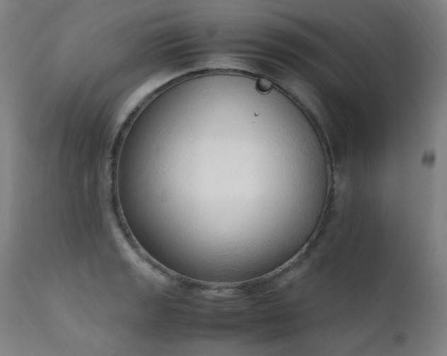 X0000111651133200907171538