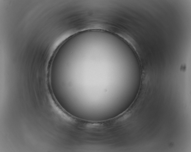 X0000111651135200907171538