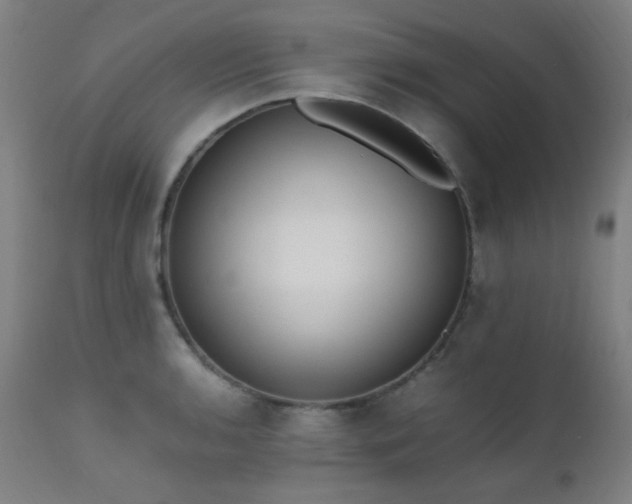 X0000111651136200907171538