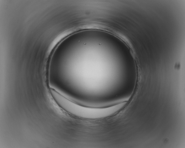 X0000111651138200907171538