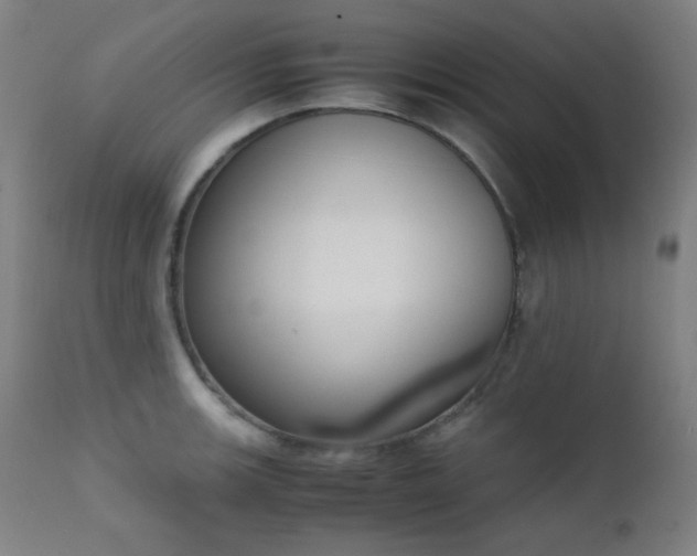 X0000111651139200907171538