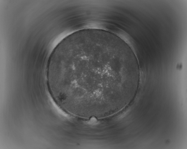 X0000111651141200907171538