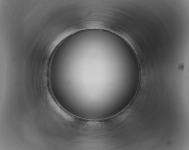 X0000111651142200907171538