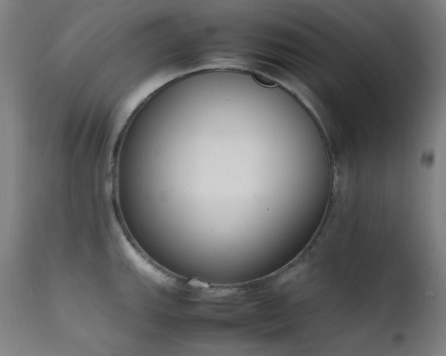 X0000111651143200907171538