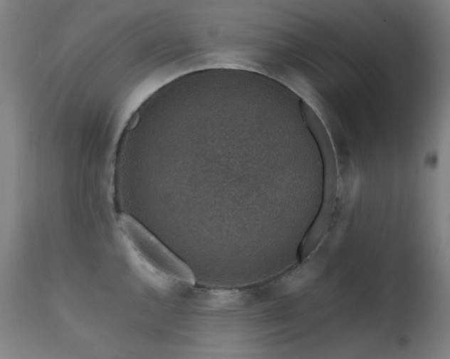 X0000111651144200907171538