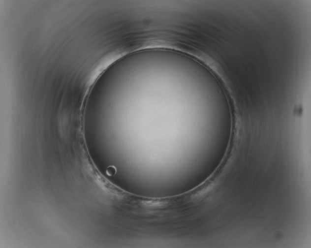 X0000111651145200907171538