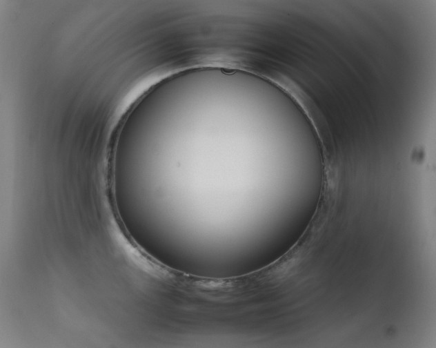 X0000111651147200907171538