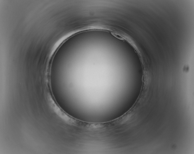X0000111651148200907171538