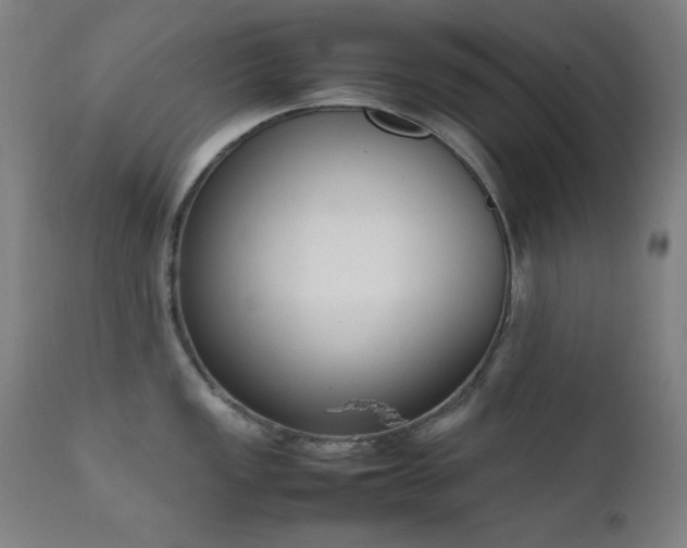 X0000111651149200907171538