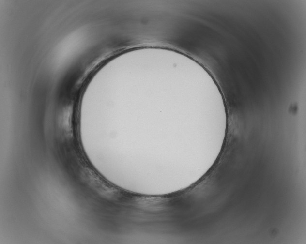 X0000111651150200907171538