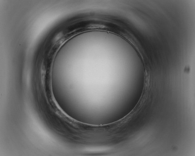 X0000111651151200907171538