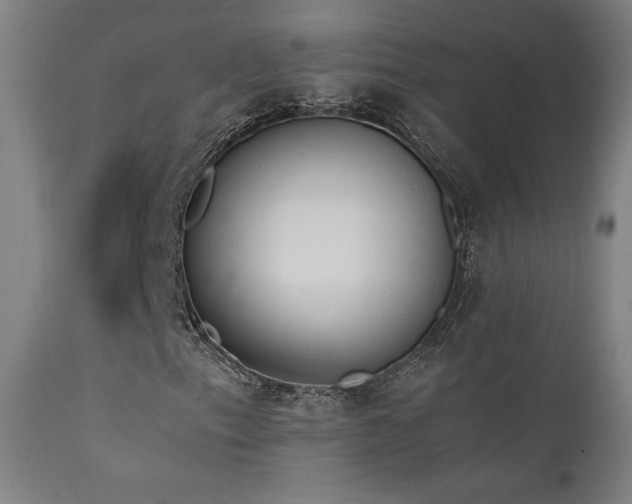 X0000111651153200907171537