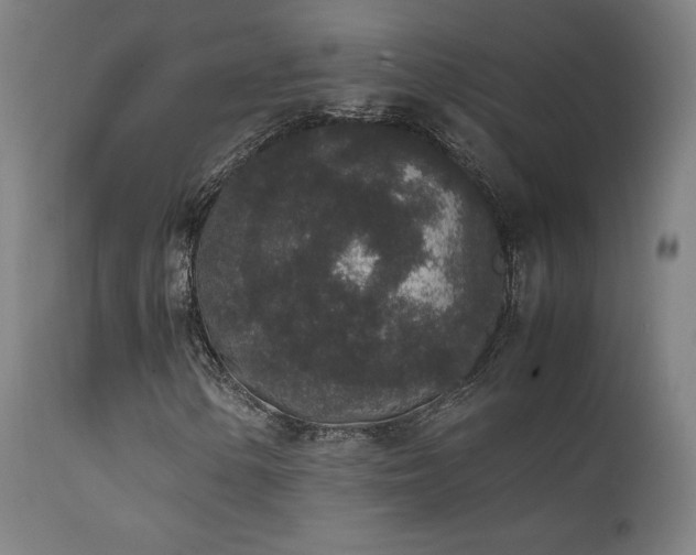 X0000111651154200907171537