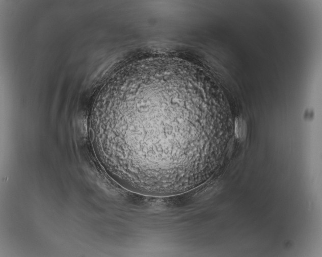 X0000111651155200907171537