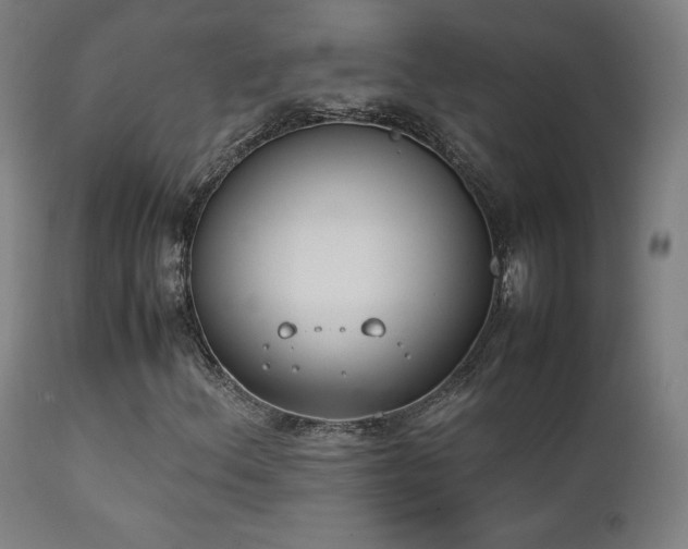 X0000111651156200907171537