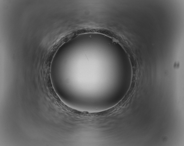 X0000111651157200907171537