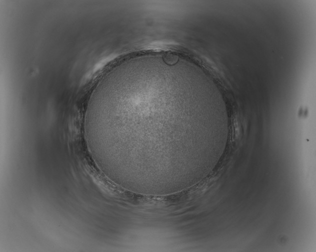 X0000111651158200907171537