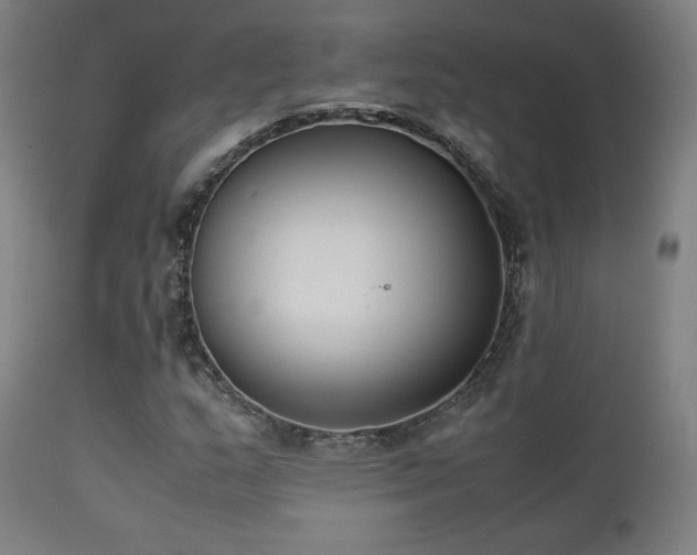 X0000111651159200907171537