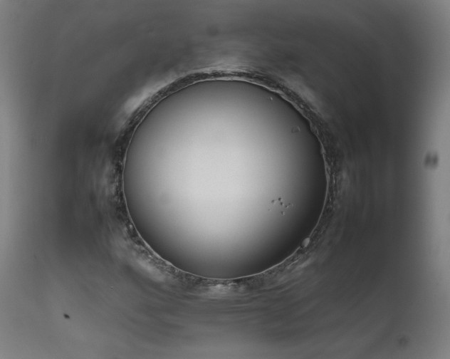 X0000111651160200907171537