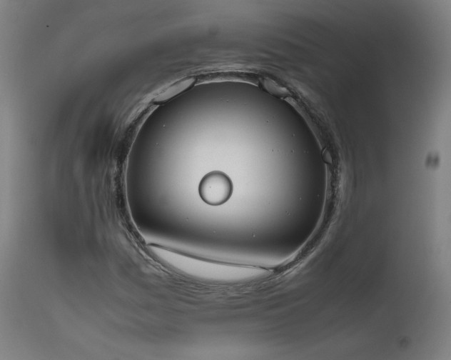 X0000111651161200907171537