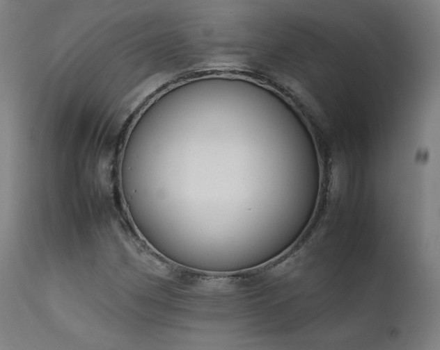 X0000111651162200907171537