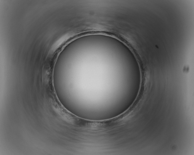 X0000111651163200907171537