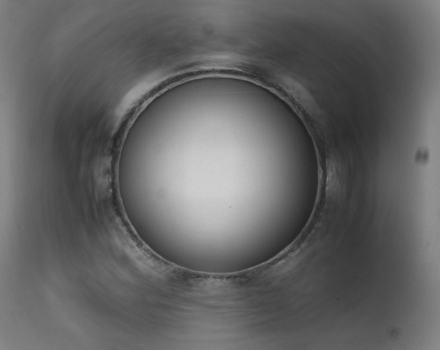 X0000111651164200907171537