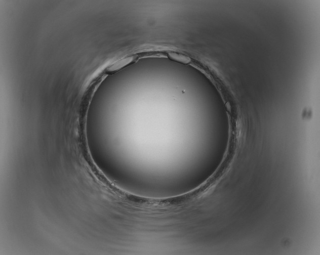 X0000111651165200907171537