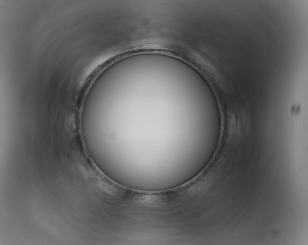 X0000111651166200907171537