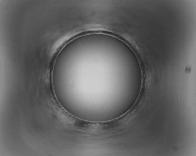 X0000111651167200907171537