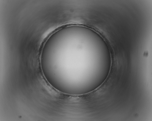 X0000111651168200907171537