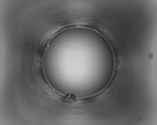 X0000111651169200907171537