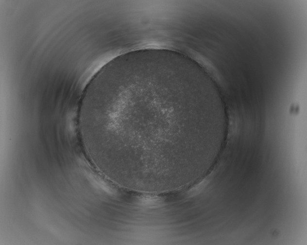 X0000111651170200907171537